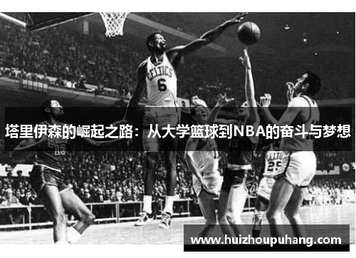 塔里伊森的崛起之路：从大学篮球到NBA的奋斗与梦想